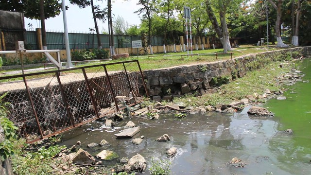 Đà Nẵng: Hồ nước giữa công viên bốc mùi hôi thối - Ảnh 1.