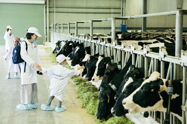  Resort bò sữa Vinamilk đón hơn 100 gia đình nhân viên đến thăm - Ảnh 7.