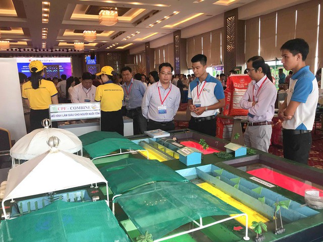 Cà Mau thành lập liên minh sản xuất tôm sạch, thu hút 4 nhà mua thủy sản lớn của Mỹ - Ảnh 1. Cà Mau thành lập liên minh sản xuất tôm sạch, thu hút 4 nhà mua thủy sản lớn của Mỹ - Ảnh 1.