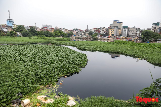 Hà Nội: Cận cảnh tình trạng ô nhiễm nghiêm trọng của hồ Linh Quang tồn tại nhiều năm qua  - Ảnh 1.