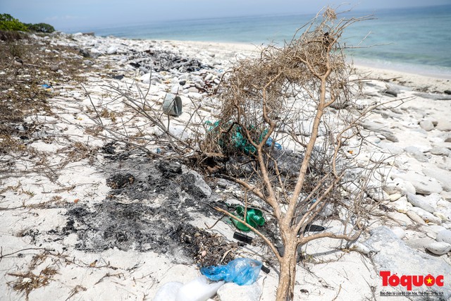 Bờ biển Lý Sơn vẫn ngập rác thải sau nhiều năm nỗ lực xử lý - Ảnh 5.
