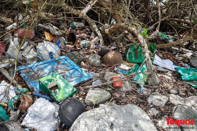 Bờ biển Lý Sơn vẫn ngập rác thải sau nhiều năm nỗ lực xử lý - Ảnh 7.