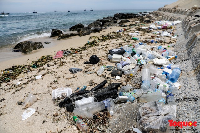 Bờ biển Lý Sơn vẫn ngập rác thải sau nhiều năm nỗ lực xử lý - Ảnh 2.
