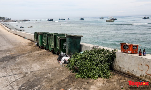 Bờ biển Lý Sơn vẫn ngập rác thải sau nhiều năm nỗ lực xử lý - Ảnh 10.