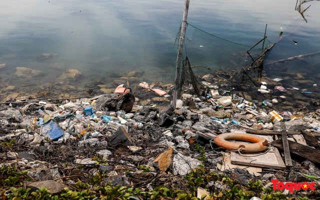 Bờ biển Lý Sơn vẫn ngập rác thải sau nhiều năm nỗ lực xử lý - Ảnh 11.