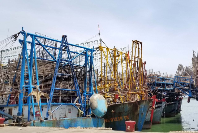 Phương thức xuất khẩu thay đổi, hàng trăm tấn mực khô của ngư dân Quảng Nam kẹt đường sang Trung Quốc - Ảnh 3.