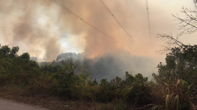 Đường dây 500kV đoạn Đà Nẵng – Hà Tĩnh bị sự cố do cháy rừng  - Ảnh 1.