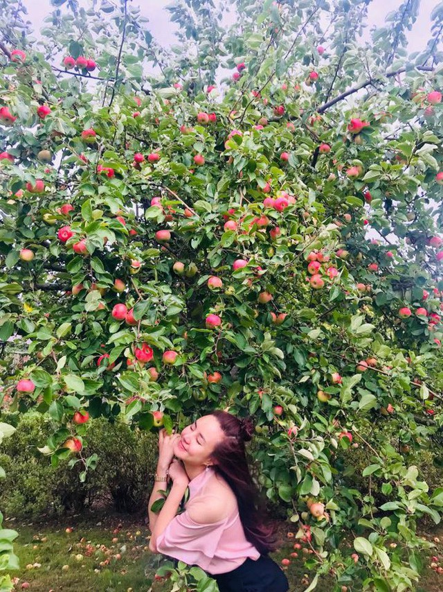 Căn biệt thự ngập tràn hoa và cây ăn quả của nữ ca sĩ Vy Oanh - Ảnh 22.