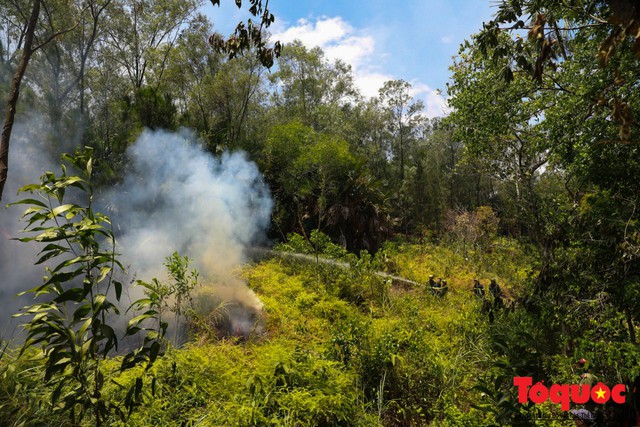 Vụ cháy rừng nghiêm trọng tại Hà Tĩnh: Đám cháy đã được khống chế hoàn toàn - Ảnh 3.