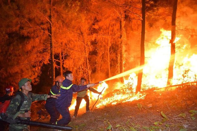 Sao Việt hướng về vụ cháy rừng ở miền Trung - Ảnh 1.