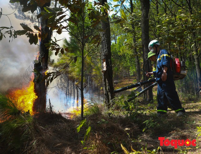 Vụ cháy rừng nghiêm trọng tại Hà Tĩnh: Đám cháy đã được khống chế hoàn toàn - Ảnh 2.