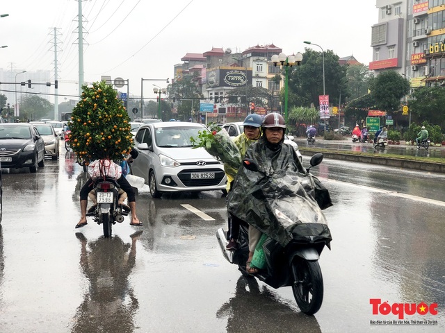 Hà nội đổ mưa lớn: Đào, quất giảm giá mạnh ngày 30 Tết, cây đào giá cả triệu bạc biến thành củi chỉ sau 1 ngày - Ảnh 1.