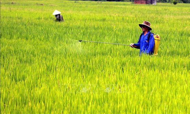 Từ ngày 18/2: Buôn bán thuốc bảo vệ thực vật cấm sử dụng tại Việt Nam có thể bị phạt tới 50 triệu - Ảnh 1.