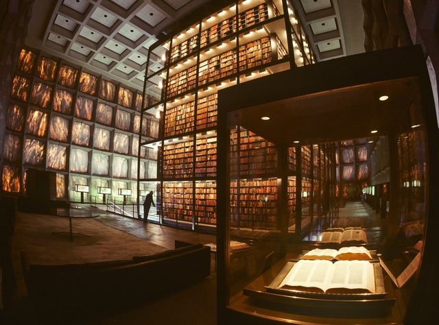 13 thư viện tuyệt đẹp buộc phải thay đổi quan niệm thư viện trường học là nơi lưu trữ sách - Ảnh 14.