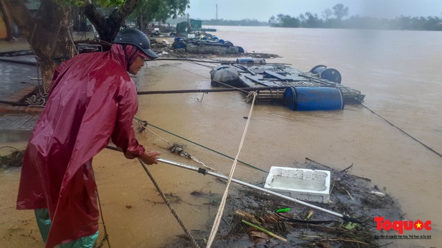 Người dân đội mưa &quot;cứu cá&quot; trên sông Bồ - Ảnh 3.