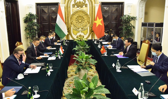 Hungary đánh giá cao vai trò và vị thế quan trọng của Việt Nam ở khu vực - Ảnh 1.