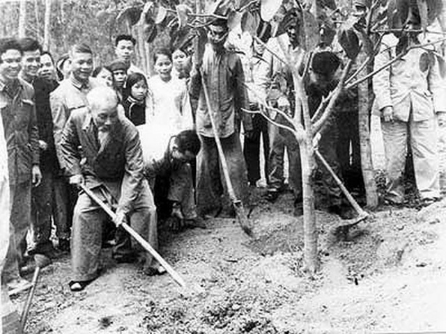 Chủ tịch Hồ Chí Minh và vấn đề bảo vệ môi trường sống - Ảnh 1.