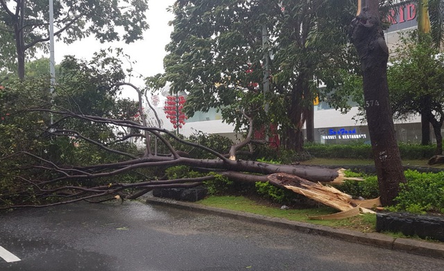 Bão số 9 đổ bộ đất liền, tâm bão vào Quảng Nam - Quảng Ngãi - Ảnh 2.