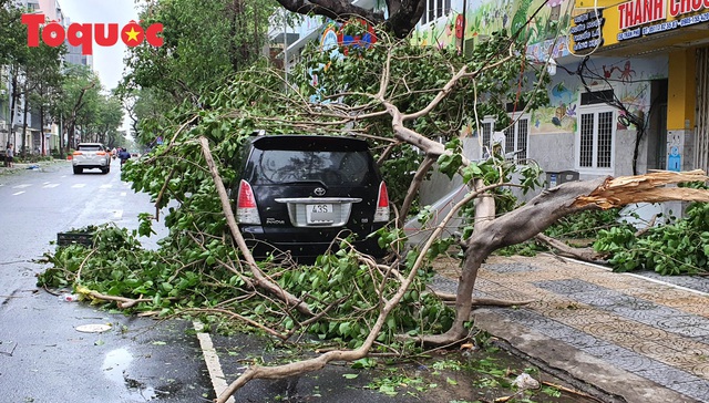 Hình ảnh Đà Nẵng sau bão số 9, nhiều cây xanh ngã đổ la liệt - Ảnh 4.