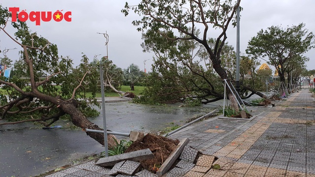 Hình ảnh Đà Nẵng sau bão số 9, nhiều cây xanh ngã đổ la liệt - Ảnh 2.