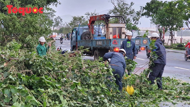 Hình ảnh Đà Nẵng sau bão số 9, nhiều cây xanh ngã đổ la liệt - Ảnh 9.