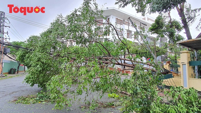 Hình ảnh Đà Nẵng sau bão số 9, nhiều cây xanh ngã đổ la liệt - Ảnh 9.