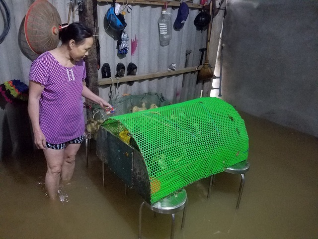 Thừa Thiên Huế: 5 người mất tích, bị thương, 1.100 nhà dân bị ngập lụt - Ảnh 4.