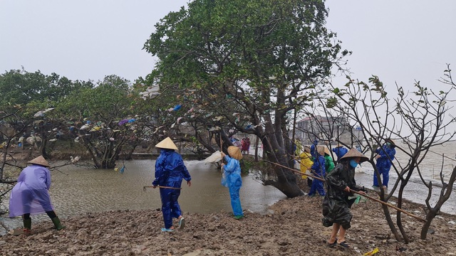 Quảng Bình: Đội mưa gió dọn rác sau lũ - Ảnh 4.