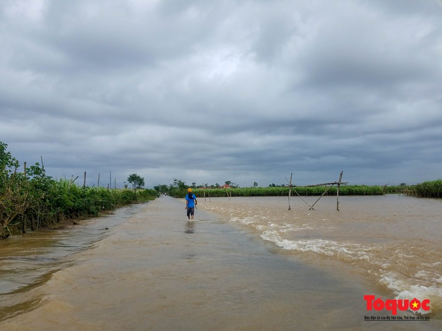 Nhiều địa phương tại Thừa Thiên Huế tái ngập lụt, có nơi đã ngập hơn 1 tháng - Ảnh 13.
