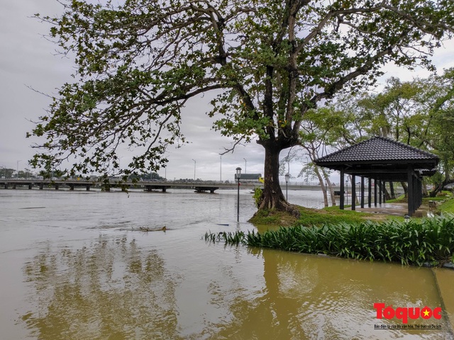 Nhiều địa phương tại Thừa Thiên Huế tái ngập lụt, có nơi đã ngập hơn 1 tháng - Ảnh 9.