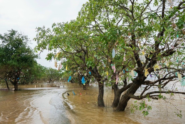 Quảng Bình: Gom túi nilon, rác thải nhựa sau lũ - Ảnh 3.