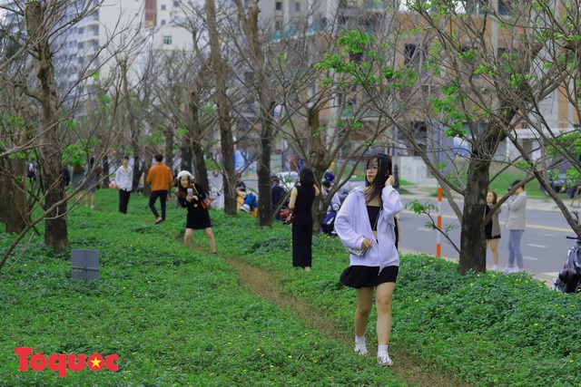 Giới trẻ hào hứng “check-in” hàng cây rụng lá đẹp như tranh vẽ ở Đà Nẵng - Ảnh 8.