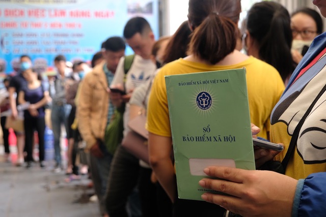 Ninh Bình tổ chức phiên giao dịch việc làm lưu động - Ảnh 1.
