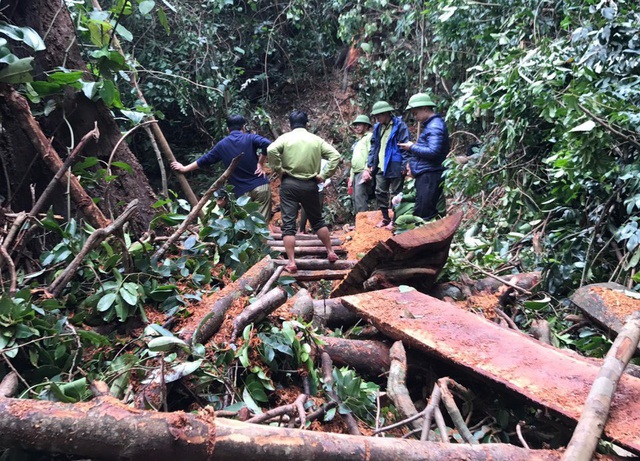 Hơn 100 chiến sỹ vây bắt nhóm đối tượng phá rừng quy mô lớn tại Quảng Bình - Ảnh 3.