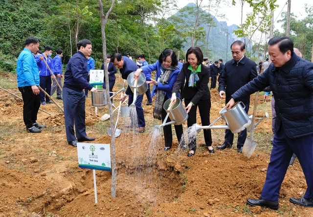 Vinamilk hoàn thành mục tiêu trồng hơn 1,1 triệu cây xanh cho Việt Nam  - Ảnh 2.
