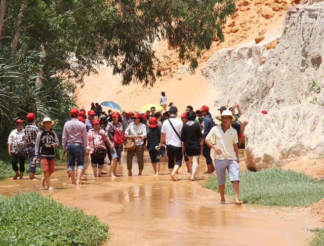 Bình Thuận tạm dừng đưa đón khách du lịch đến vùng có dịch Corona - Ảnh 1.