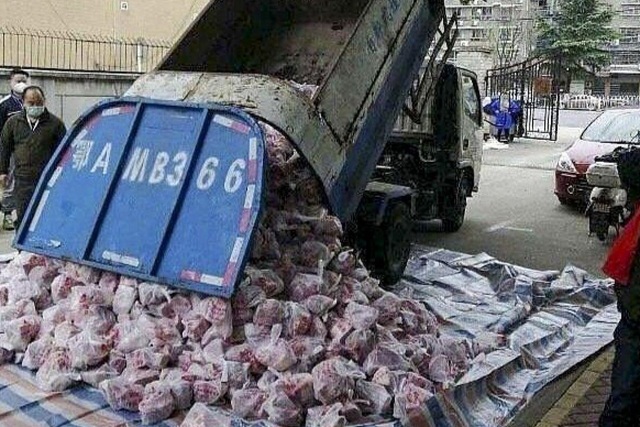 Giao thịt lợn bằng xe chở rác: Vũ Hán sa thải ngay hai quan chức - Ảnh 1.