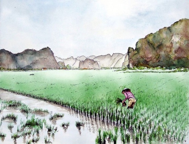 Cảnh đẹp Việt Nam qua nét vẽ tôn vinh của du khách Pháp - Ảnh 4.