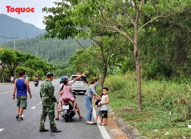 Khỉ tràn xuống ven đường dưới chân bán đảo Sơn Trà để tìm kiếm thức ăn - Ảnh 5.