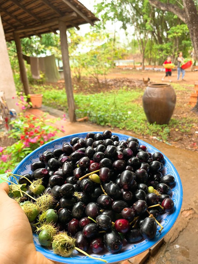 Lê Phương khoe trang trại hoành tráng ở Tây Ninh - Ảnh 2.