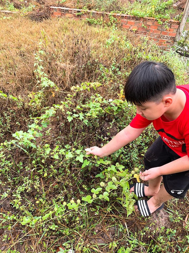 Lê Phương khoe trang trại hoành tráng ở Tây Ninh - Ảnh 5.