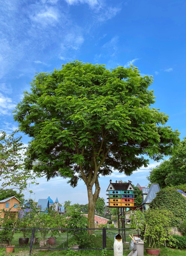Phim trường Smiley Ville chào hè giảm giá bất ngờ vé vào cửa - Ảnh 4. Phim trường Smiley Ville chào hè giảm giá bất ngờ vé vào cửa - Ảnh 4.