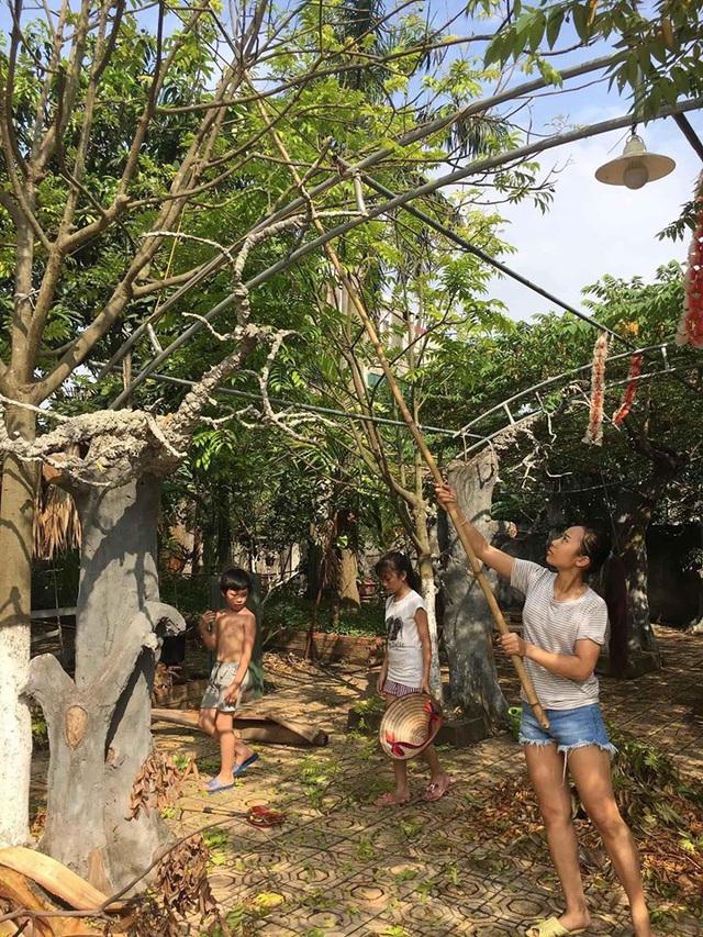 Nhà vườn 10.000m2 của nghệ sĩ Giang còi ngập hoa và trái cây - Ảnh 26.