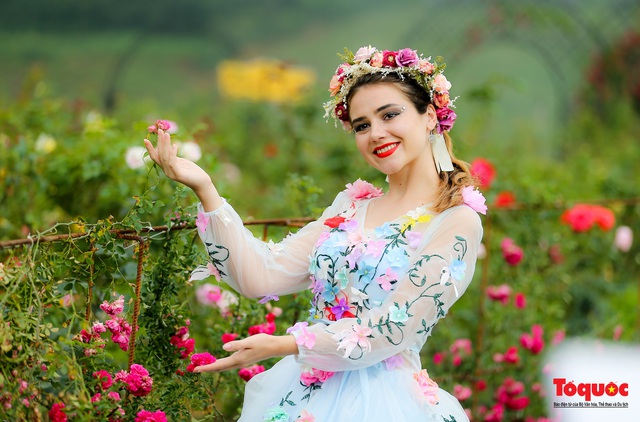 Ngắm thung lũng hoa hồng tuyệt đẹp nhận kỷ lục lớn nhất Việt Nam - Ảnh 16.