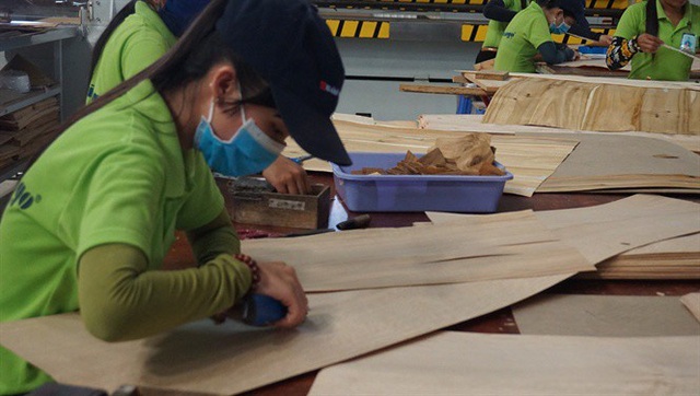 Bộ  Ngoại giao thông tin việc Mỹ bắt đầu điều tra các sản phẩm gỗ dán nhập từ Việt Nam - Ảnh 1.