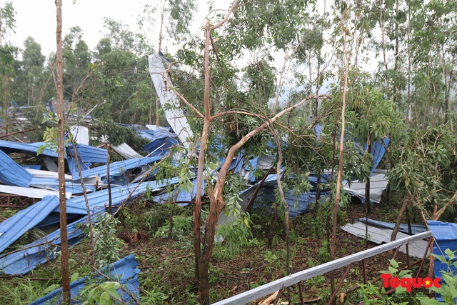 Vĩnh Phúc: Hiện trường tan hoang sau vụ lốc xoáy kinh hoàng khiến  hơn 20 người bị thương vong - Ảnh 12.