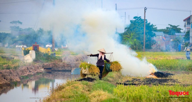 Nông dân lại đốt rơm rạ, khói bụi đang bủa vây ngoại thành Hà Nội - Ảnh 2.