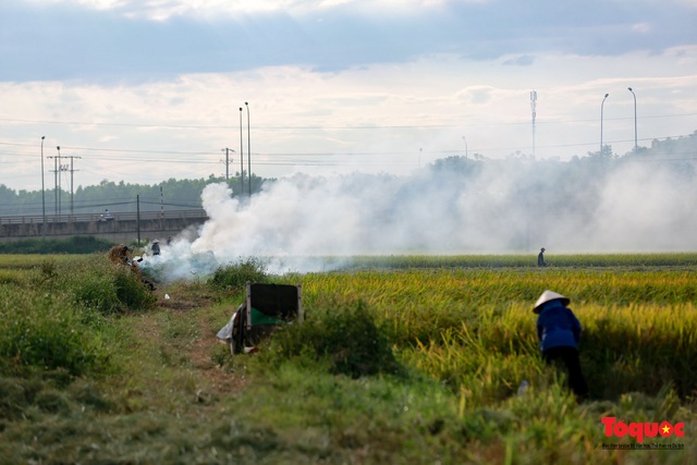 Nông dân lại đốt rơm rạ, khói bụi đang bủa vây ngoại thành Hà Nội - Ảnh 4.