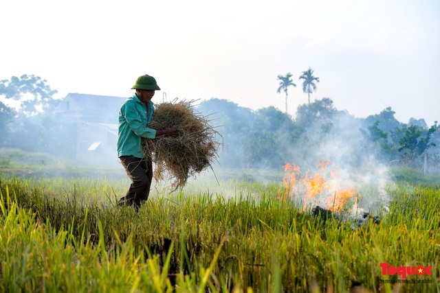 Nông dân lại đốt rơm rạ, khói bụi đang bủa vây ngoại thành Hà Nội - Ảnh 7.