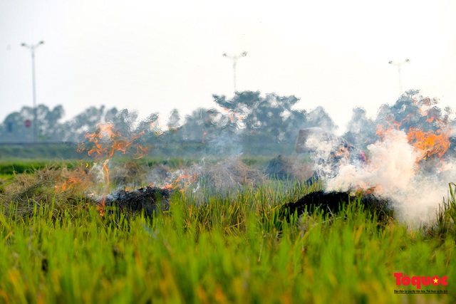 Nông dân lại đốt rơm rạ, khói bụi đang bủa vây ngoại thành Hà Nội - Ảnh 6.